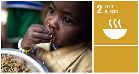 zero zero afbraga|Zero Hunger: Working together to achieve the goal .
